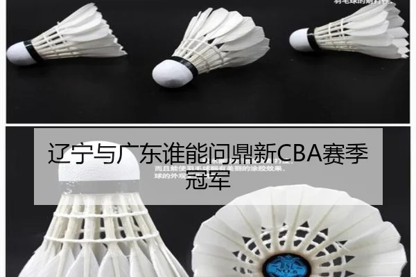 辽宁与广东谁能问鼎新CBA赛季冠军