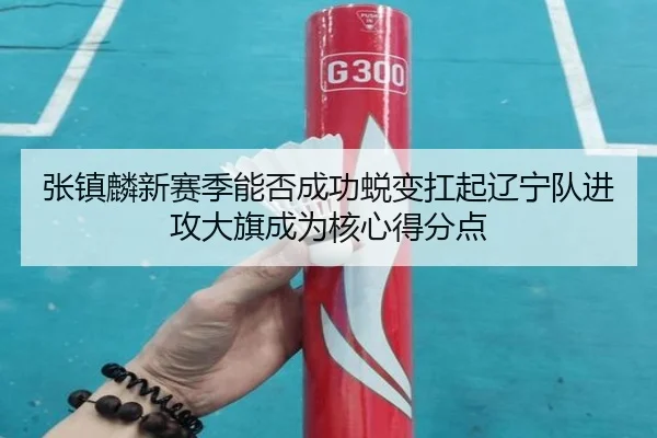 张镇麟新赛季能否成功蜕变扛起辽宁队进攻大旗成为核心得分点